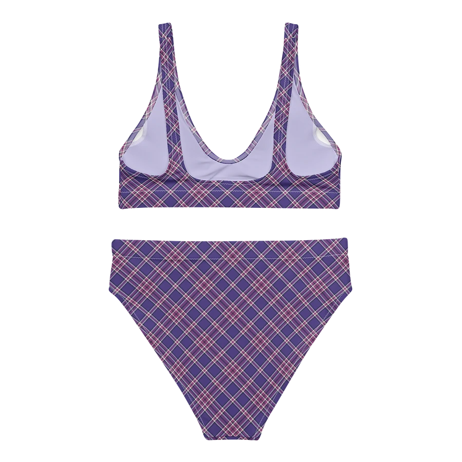 Purple Orchid and Violet Plaid Bikini product image (4)
