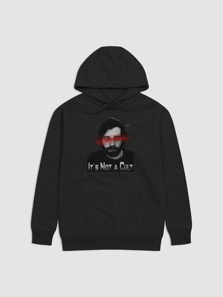 The Club Wants You Hoodie product image (4)