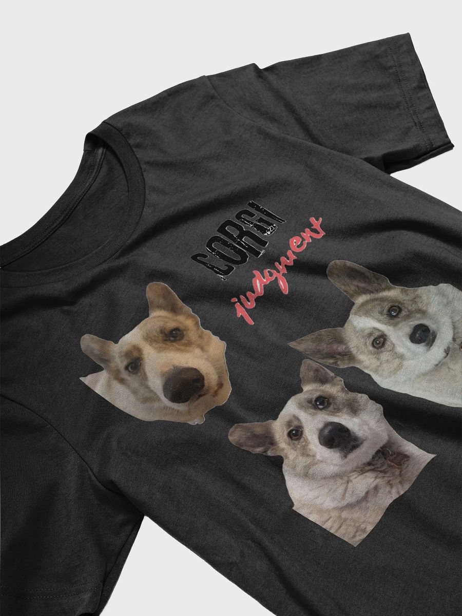 Corgi judgment product image (24)