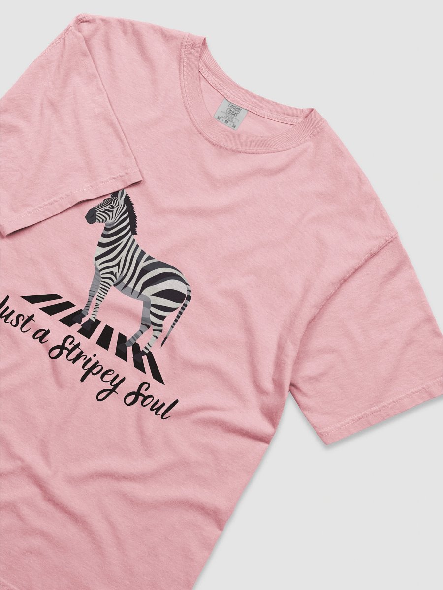 Striped Serenity Zebra T-Shirt product image (44)