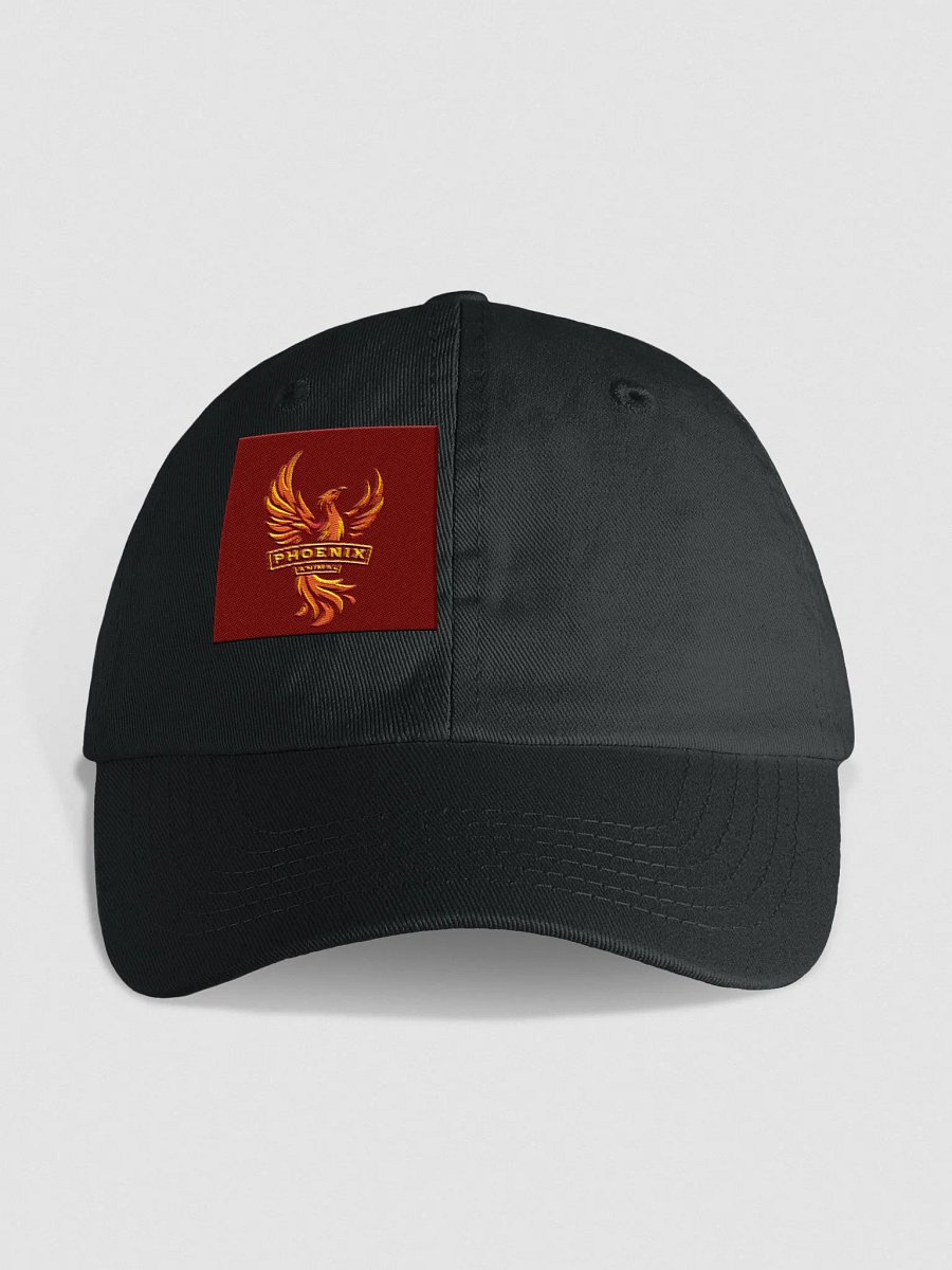 Dad Hat product image (1)