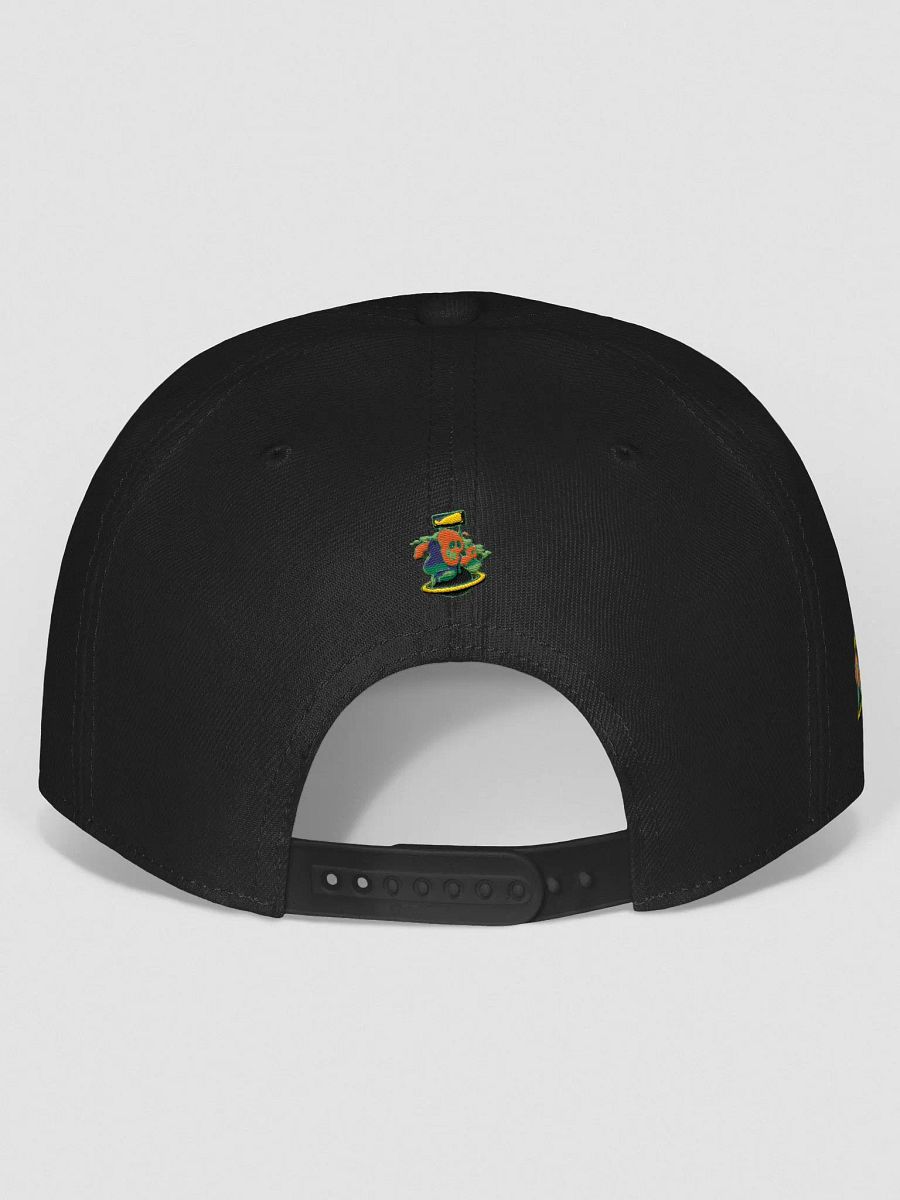 BizzWorld Drip snapback collection product image (35)