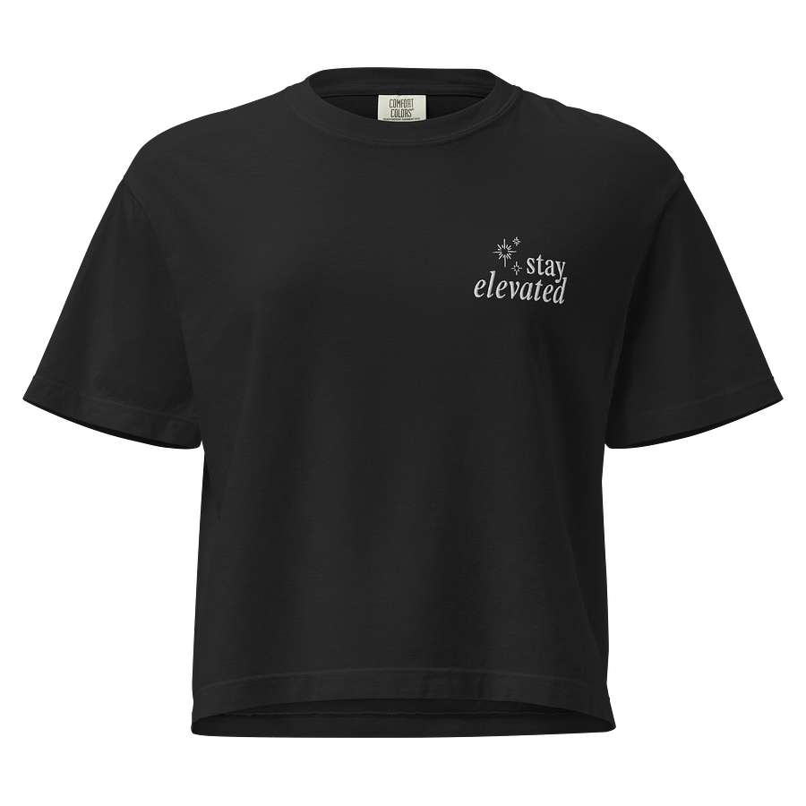 Stay Elevated Box Crop Embroidered Tee (Dark) product image (1)