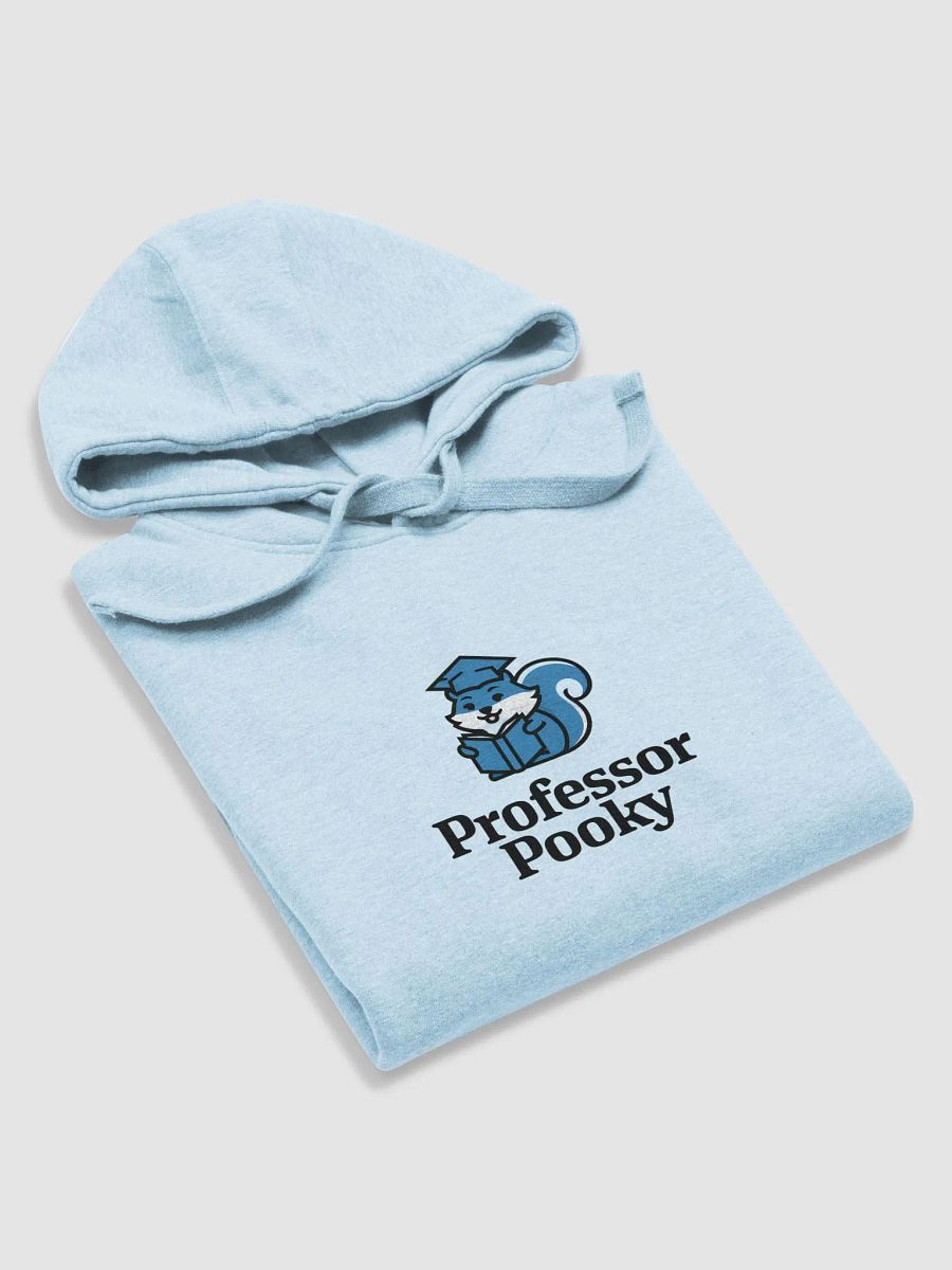 Super Soft Hoodie: Professor Pooky product image (5)