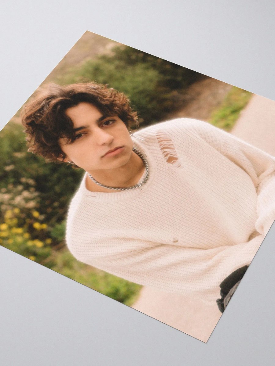 David Lee Photo Sticker product image (8)