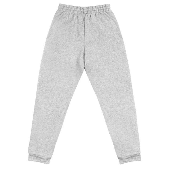 PhynixPC Embroidered Joggers product image (2)