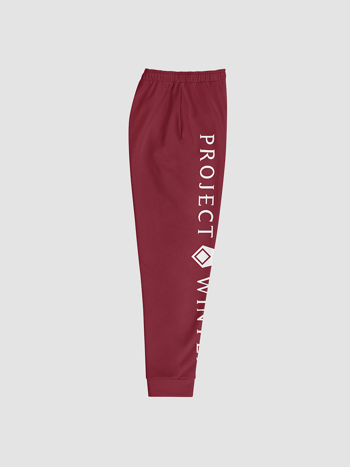 Project Winter Men's Joggers (Red) product image (2)