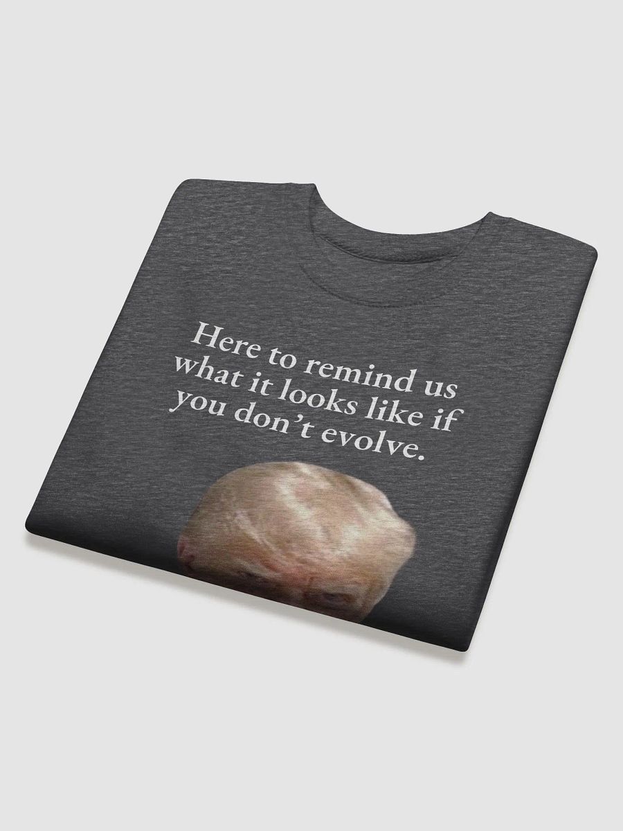 Here to remind us... Premium Sweatshirt product image (24)