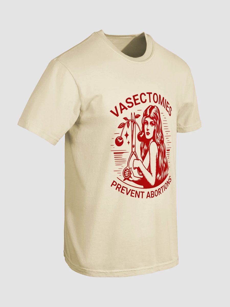 Vasectomies Prevent Abortions T-SHIRT product image (4)
