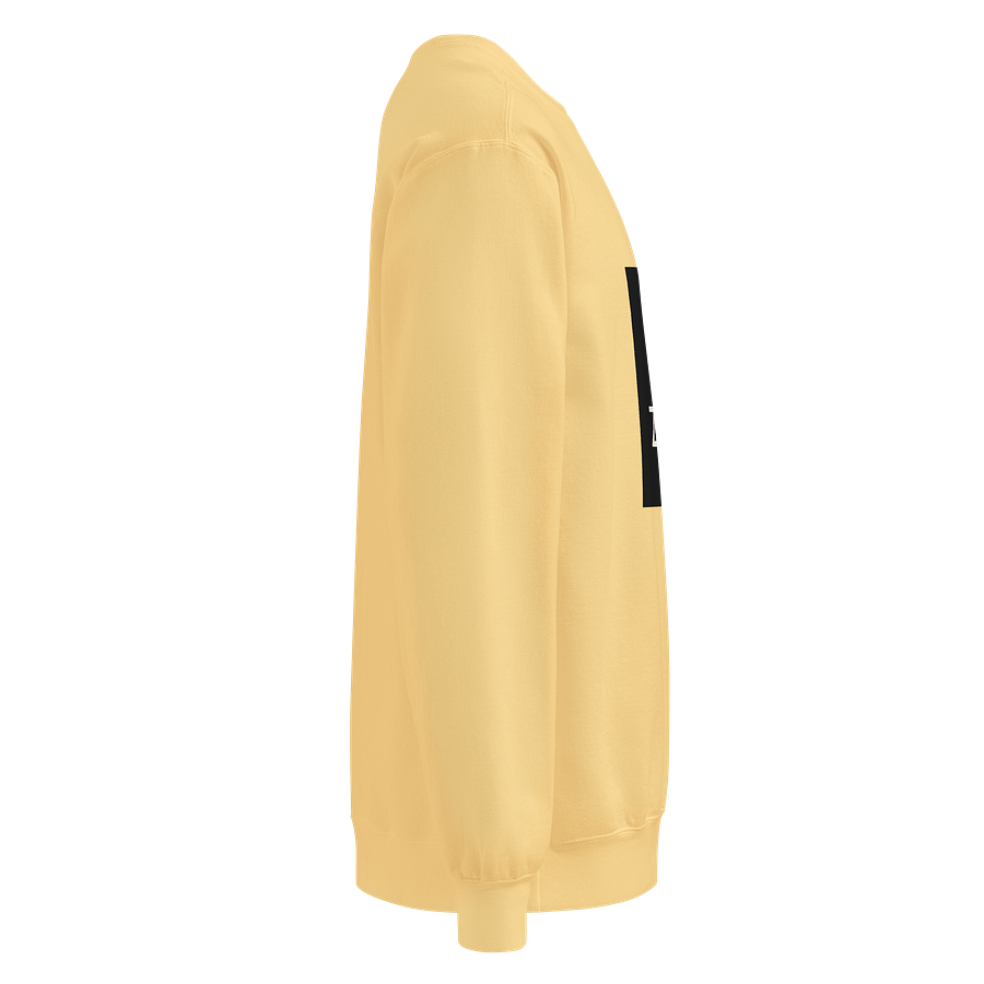 ZAYO Signature Sweatshirt product image (25)