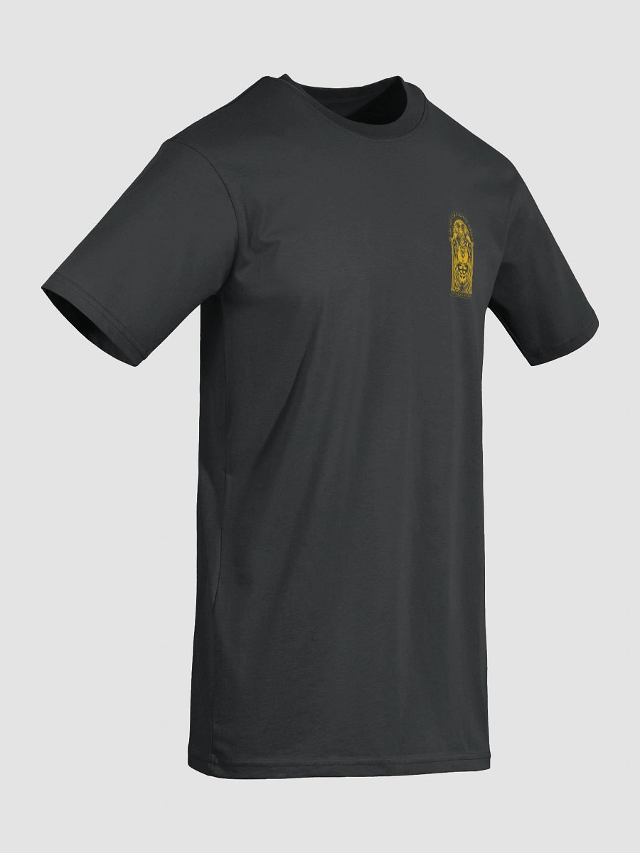 Atlas gym gear Heavy Tee product image (7)