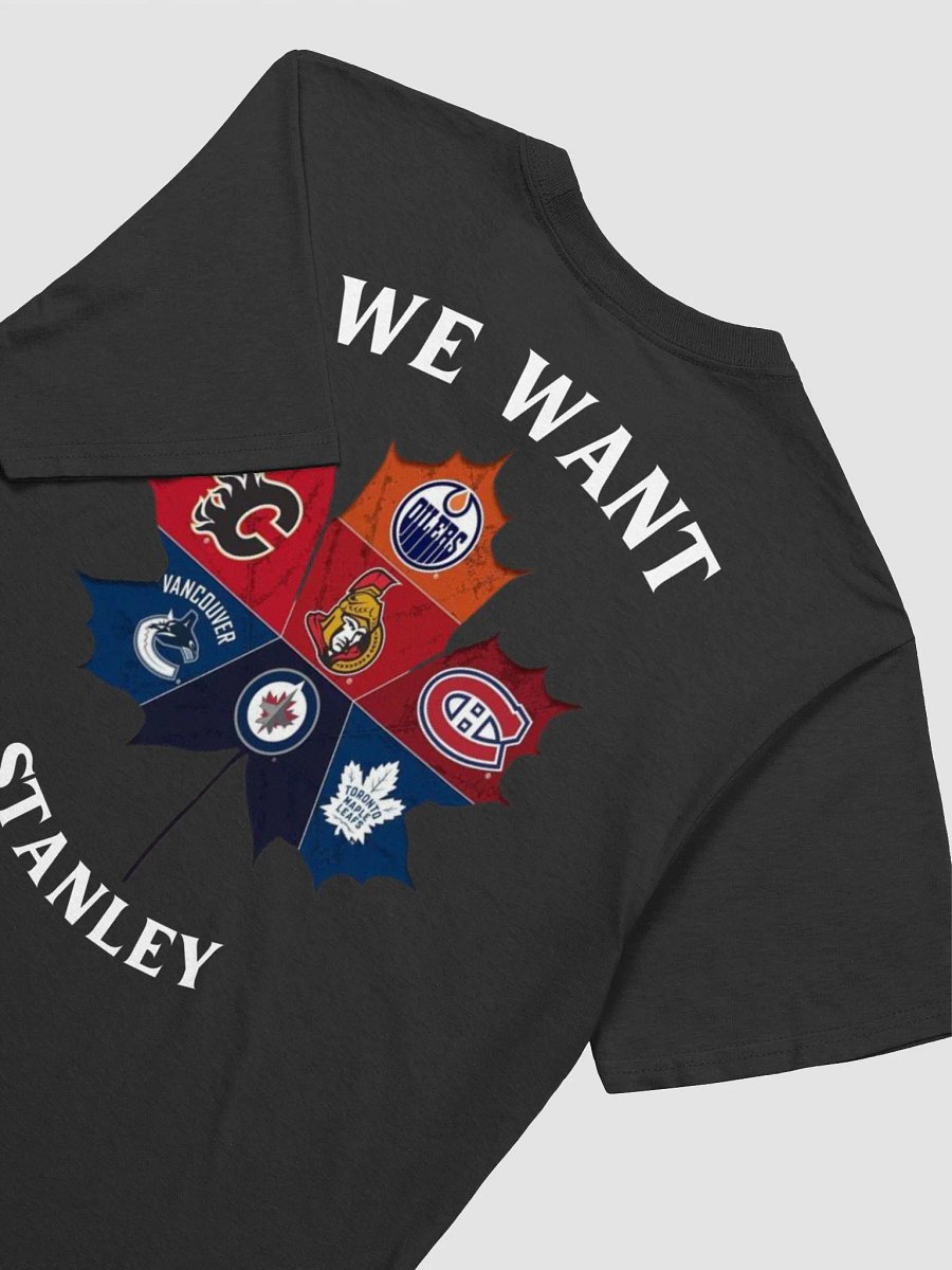 WE WANT STANLEY WINNIPEG JETS product image (4)
