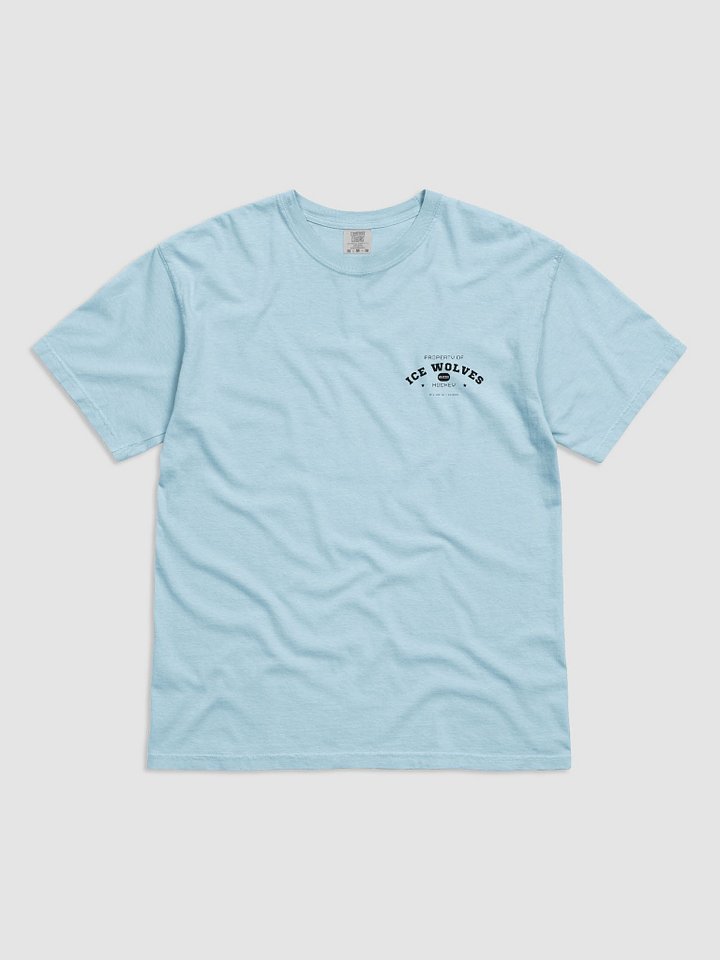 Athletic Dept. Heavyweight Tee product image (2)