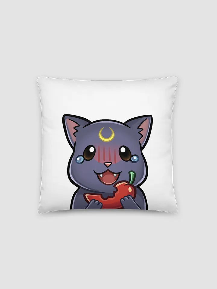Moon Cat Pillow product image (1)