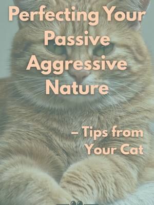 #133 Passive Aggressive Tips from Your Cat: Wake them up. Then go back to sleep. 😼💤 Builds character. Follow for more emotionally unavailable advice. #PassiveAggressiveTipsFromYourCat #Fursplaining #CatHumor #CatLogic #SarcasticCat #WFHWithCats #PetChaos