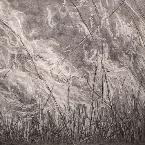 Cycles of Destruction and Regeneration 

For my ARTservancy residency I chose to study controlled burns, using charcoal from ...