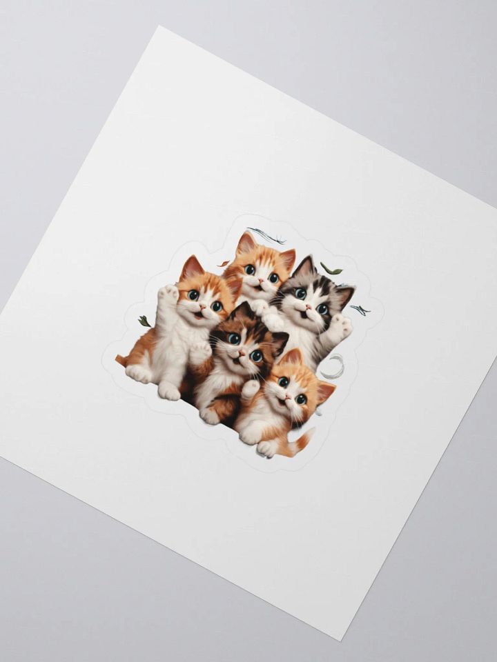 Very Cute cats . product image (2)