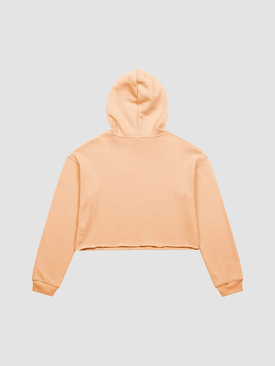 FYF crop hoodie product image (6)