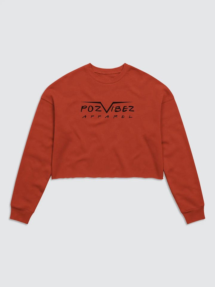 PozVibez Franz Crop Sweater product image (1)
