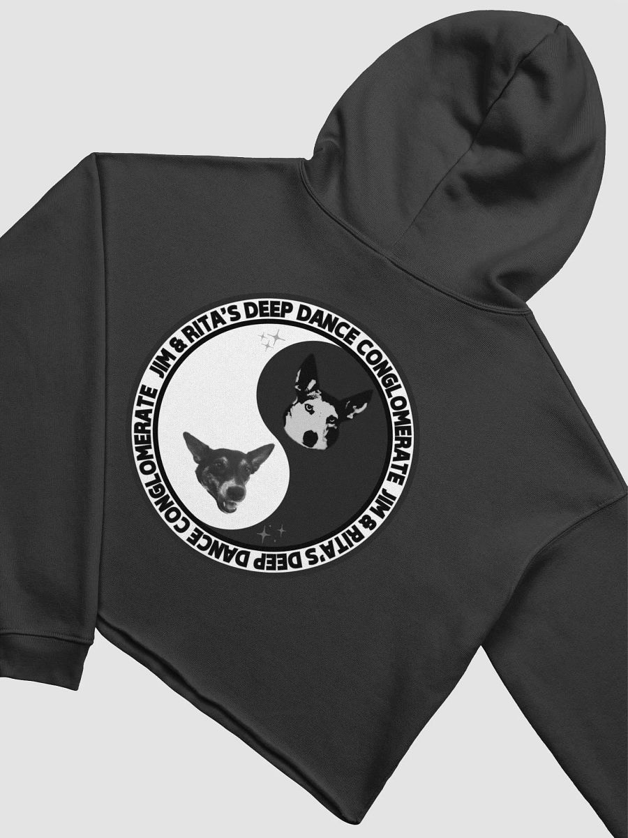 JRDDC INDUSTREE CROP HOODIE product image (4)