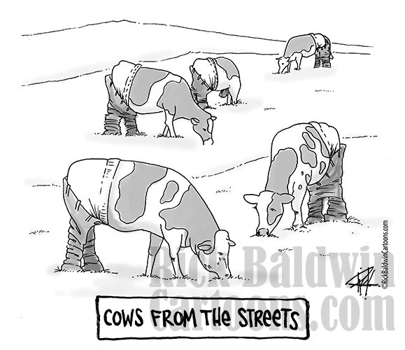 Cows From The Streets product image (1)