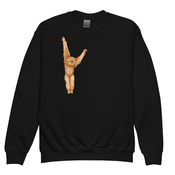 Primate Elevation Youth Sweatshirt product image (7)