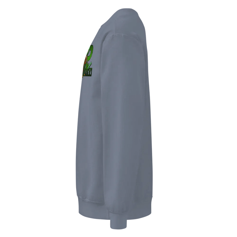 Raikesy Sweater Green Logo product image (38)