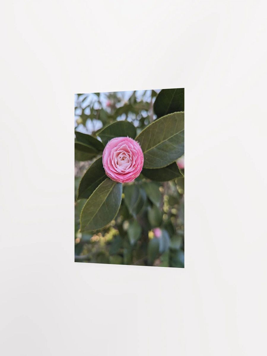 Blooming Beauty Matte Poster product image (11)