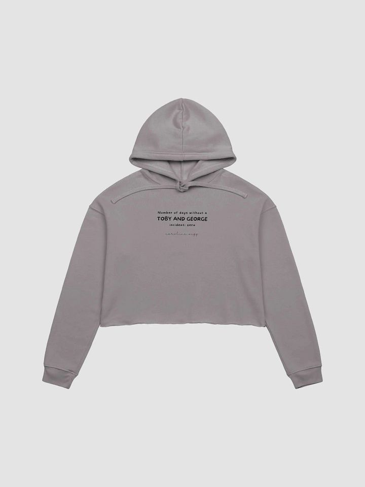 Toby and George Incident Crop Hoodie - Light Colours product image (1)