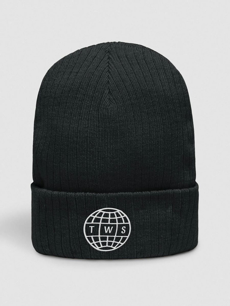 TransWorld SKATEboarding Global Beanie product image (1)