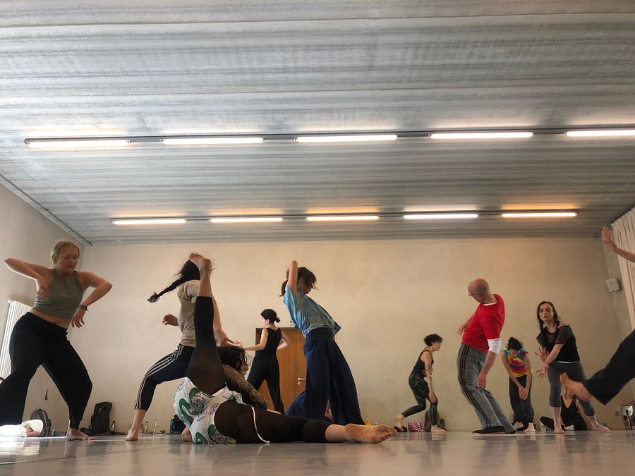 REGULAR Dance CLASES Berlin - THE INNER BEAST 2025 product image (4)