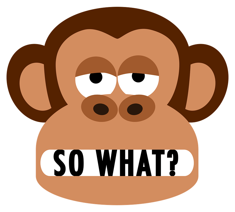 Rude Bored Monkey Doesn't Care T-Shirt product image (2)