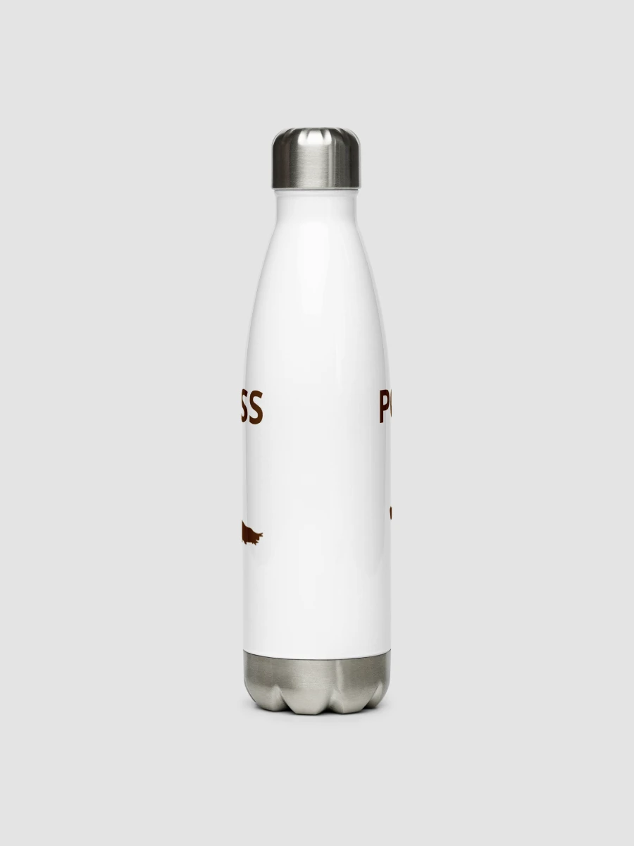 Stainless Steel Water Bottle Generic 1020 product image (4)