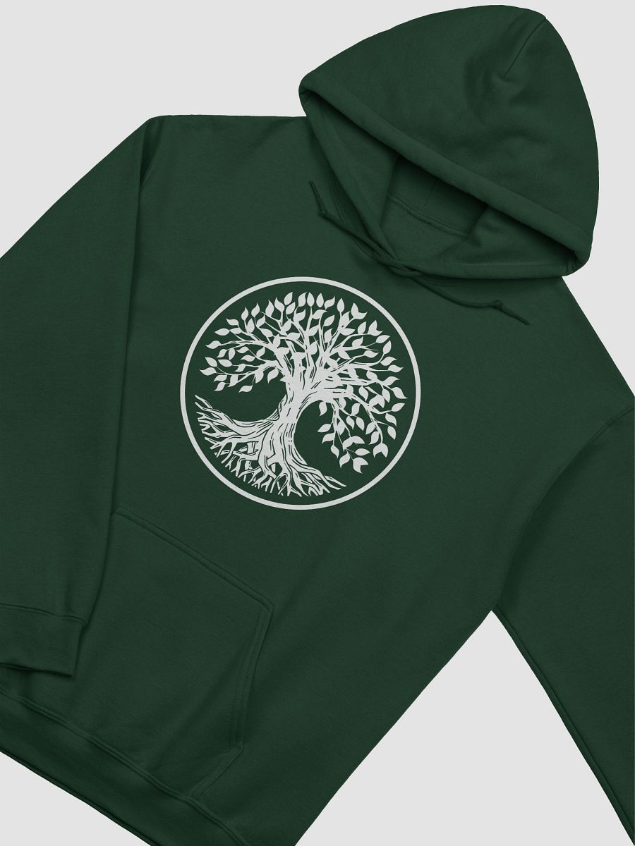 "Rooted In Him" Hoodie product image (3)