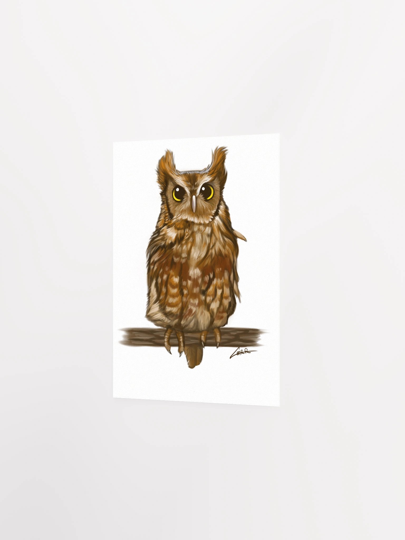 Birds: Screech Owl product image (2)