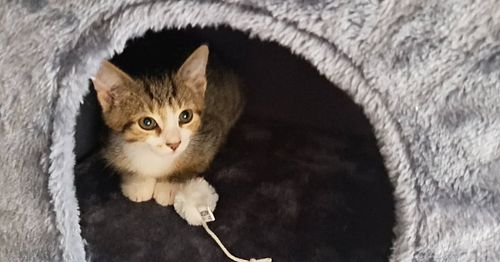 Felix ersten Minuten bei mir.