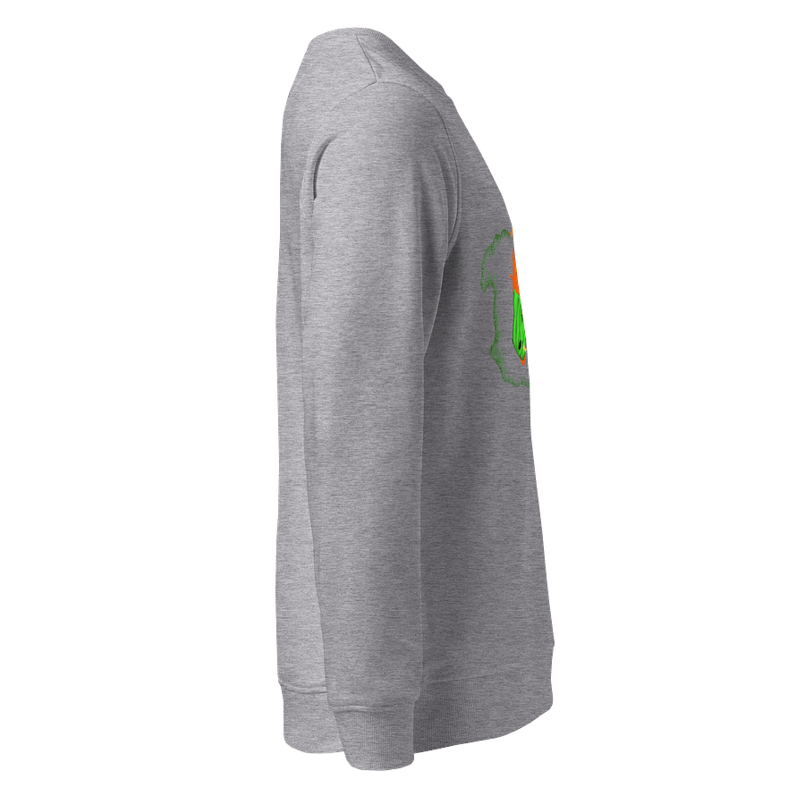 Dragon's Fury Organic Sweatshirt product image (4)