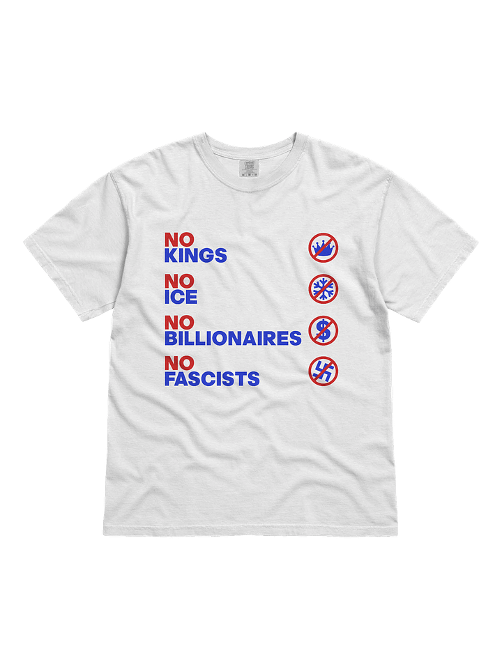 NO KINGS, NO ICE, NO BILLIONAIRES, NO FASCISTS product image (1)