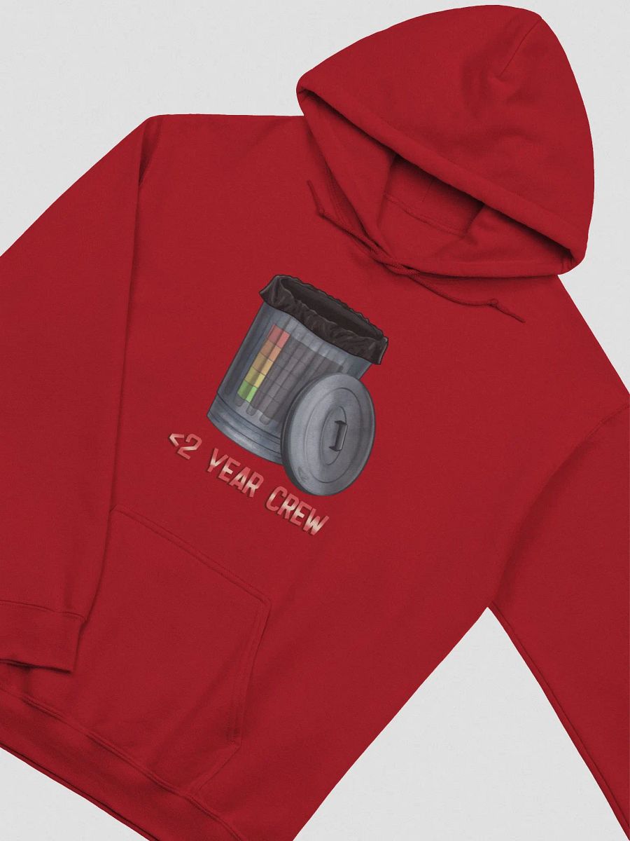 Less Than 2 Year Bin 'Em Hoodie product image (2)