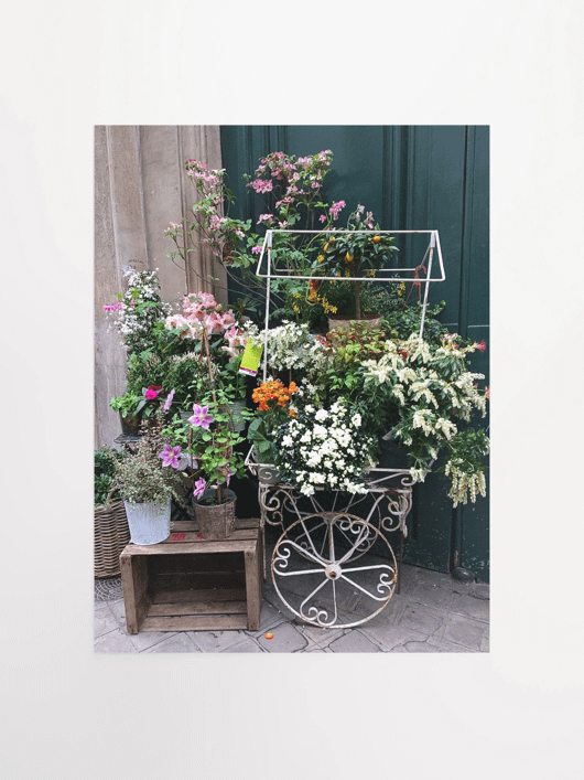 Paris Street Flower Shop product image (1)