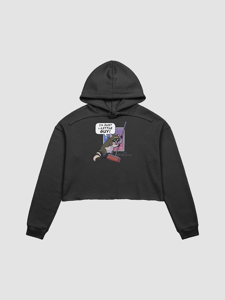 Guy the Racoon Crop Hoodie product image (3)