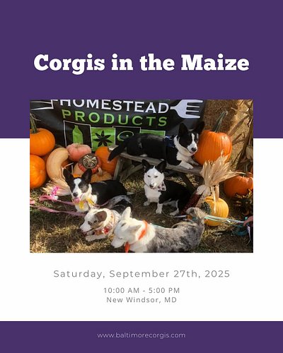 Join us at the Local Homestead Farm for a fun-filled, festive day!

—> Take a hayride down to the pumpkin patch and pick your...