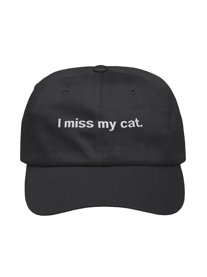 I miss my cat. Embroidered Hat product image (1)
