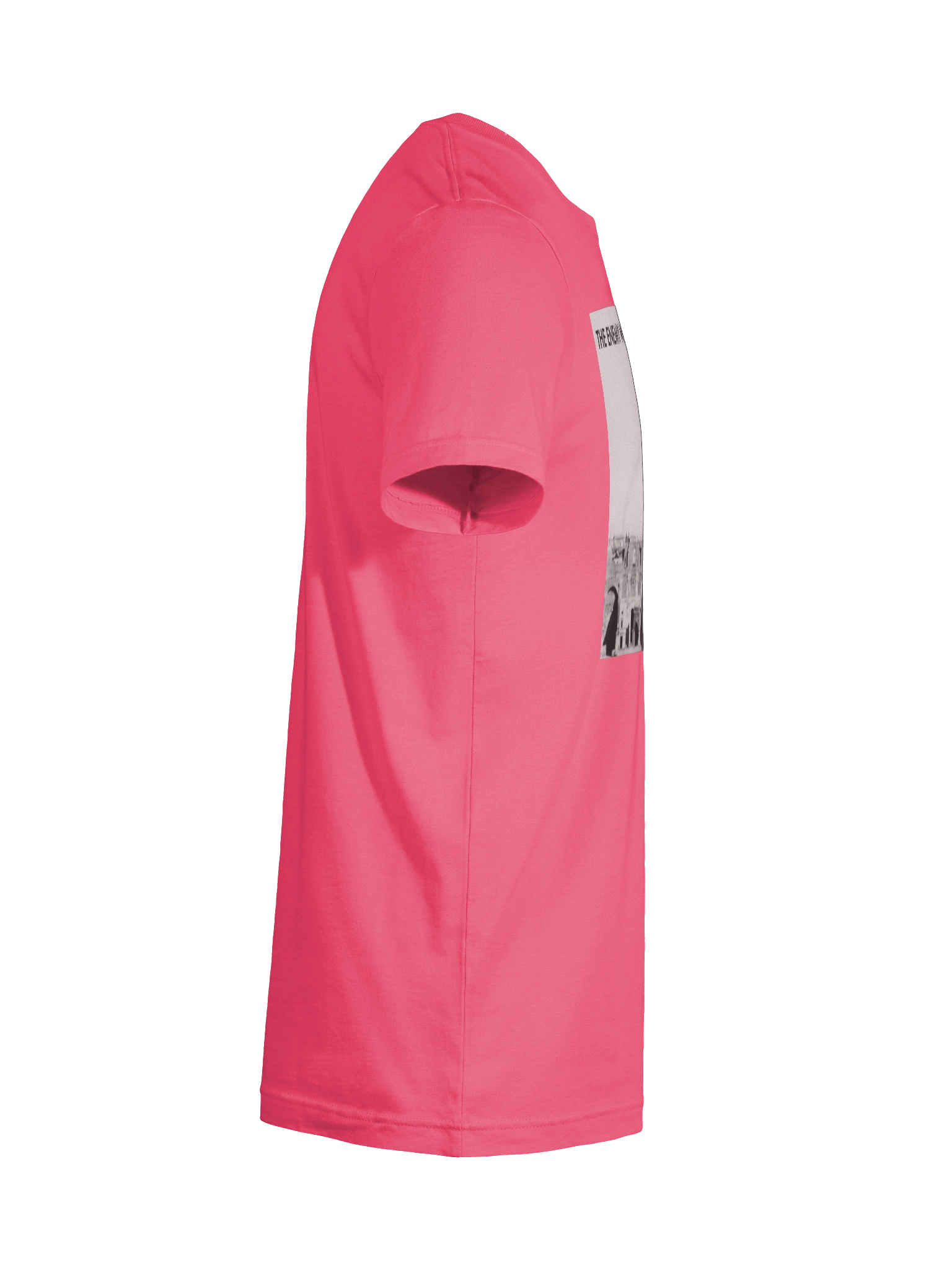 The Anti-Fascionista (A-Girl Tee) product image (6)