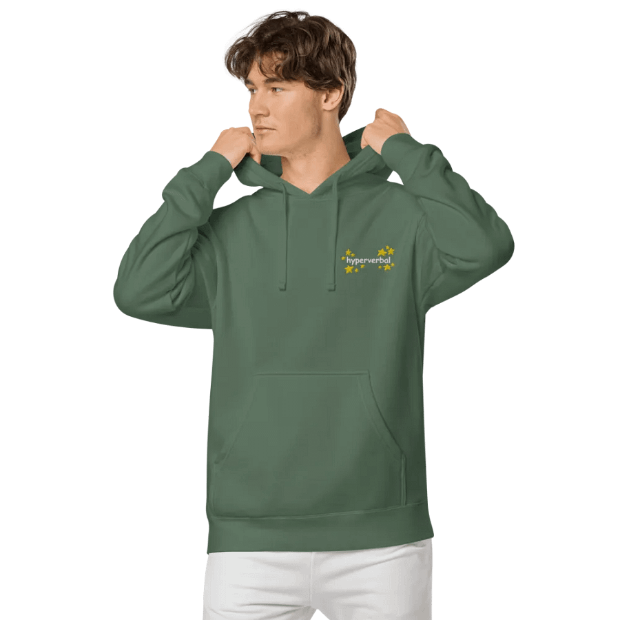 hyperverbal (L.C., comic sans and stars) embroidered pigment-dyed hoodie product image (7)