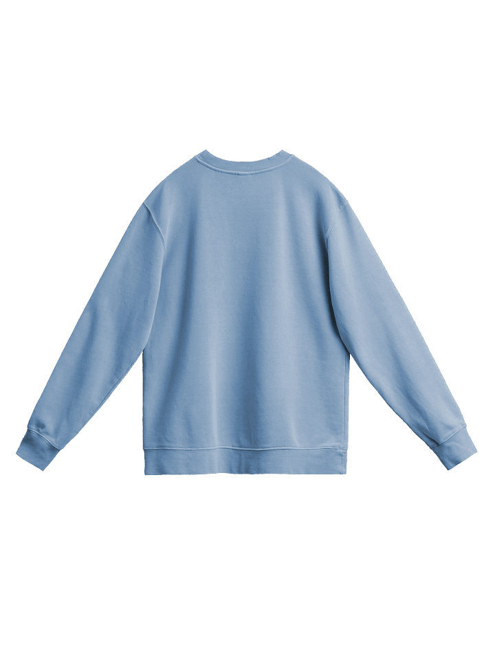Swiftletgaming Era Sweatshirt product image (12)