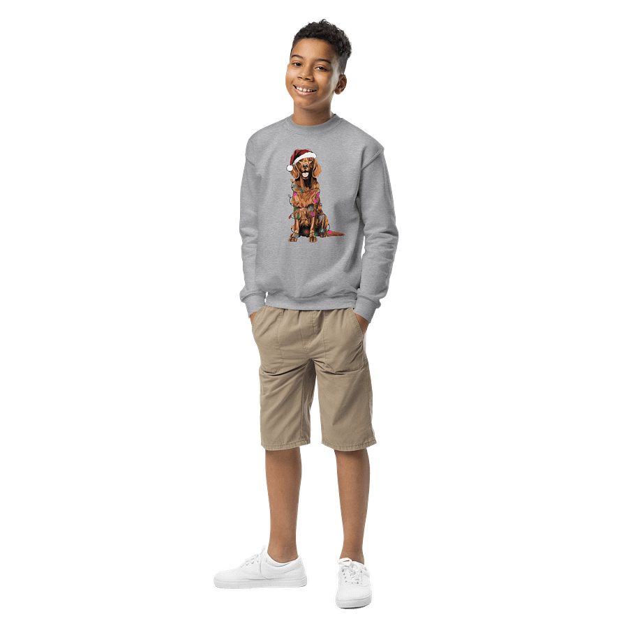 Funny Christmas Irish Setter Youth Sweatshirt product image (5)