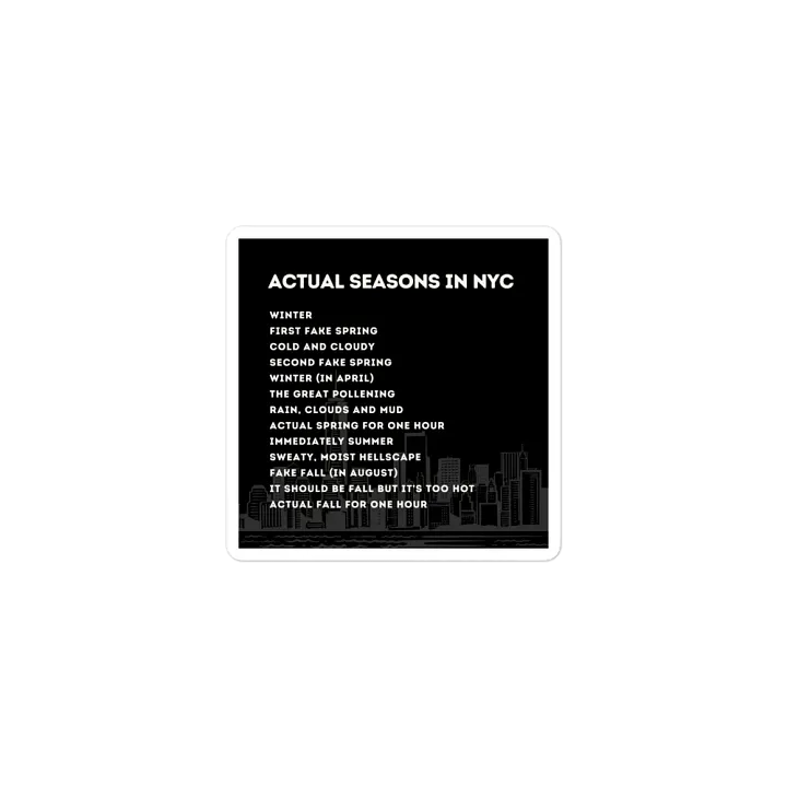 Actual Seasons in NYC Magnet product image (1)