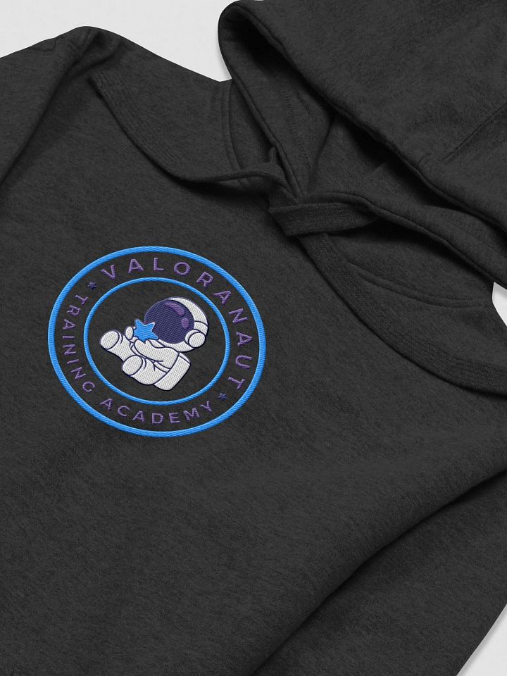 VTA 2.0 Embroidered Hoodlum product image (1)