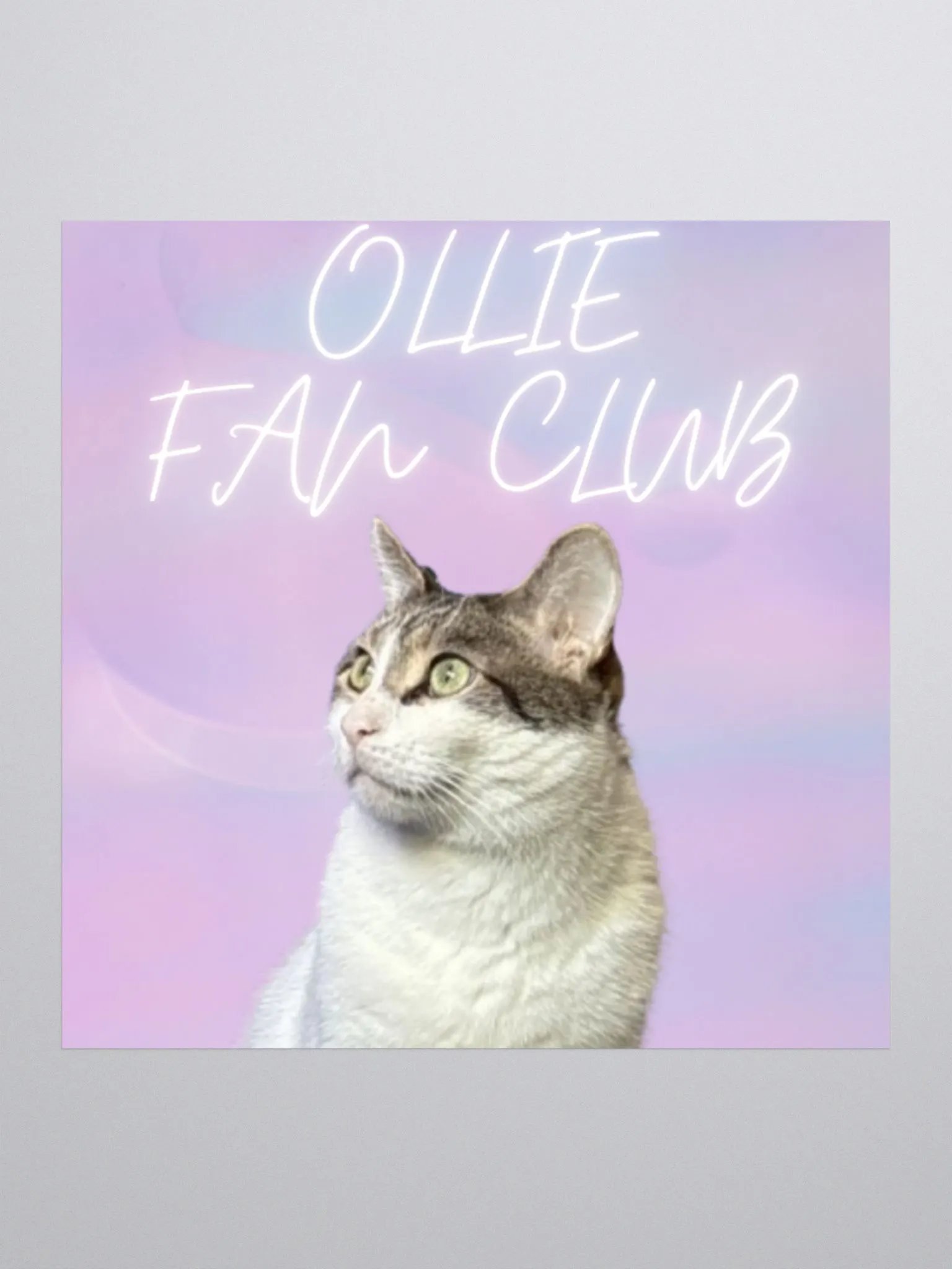"OLLIE FAN CLUB" Sticker product image (2)